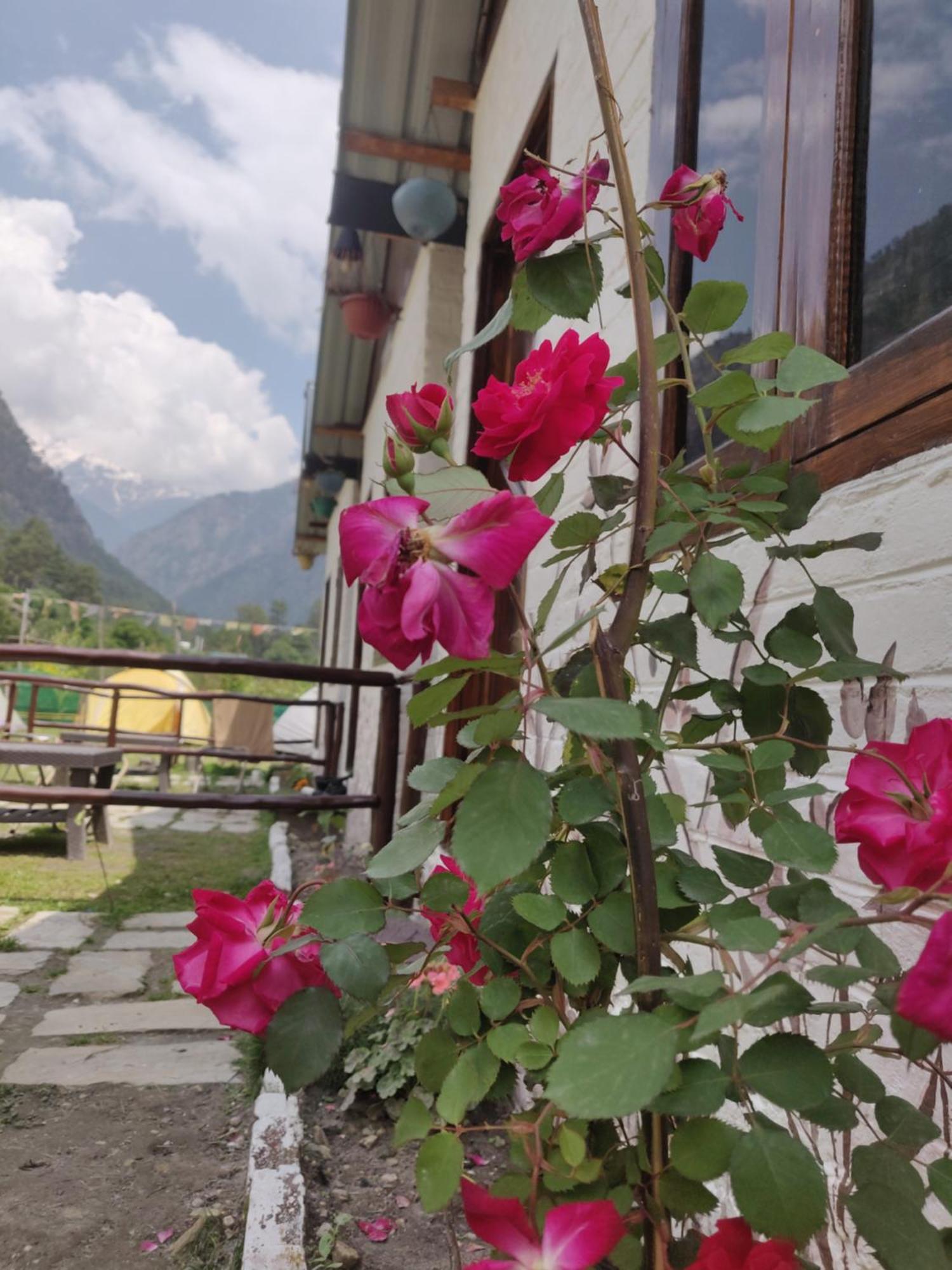 Himtrek Stays, Kasol Extérieur photo